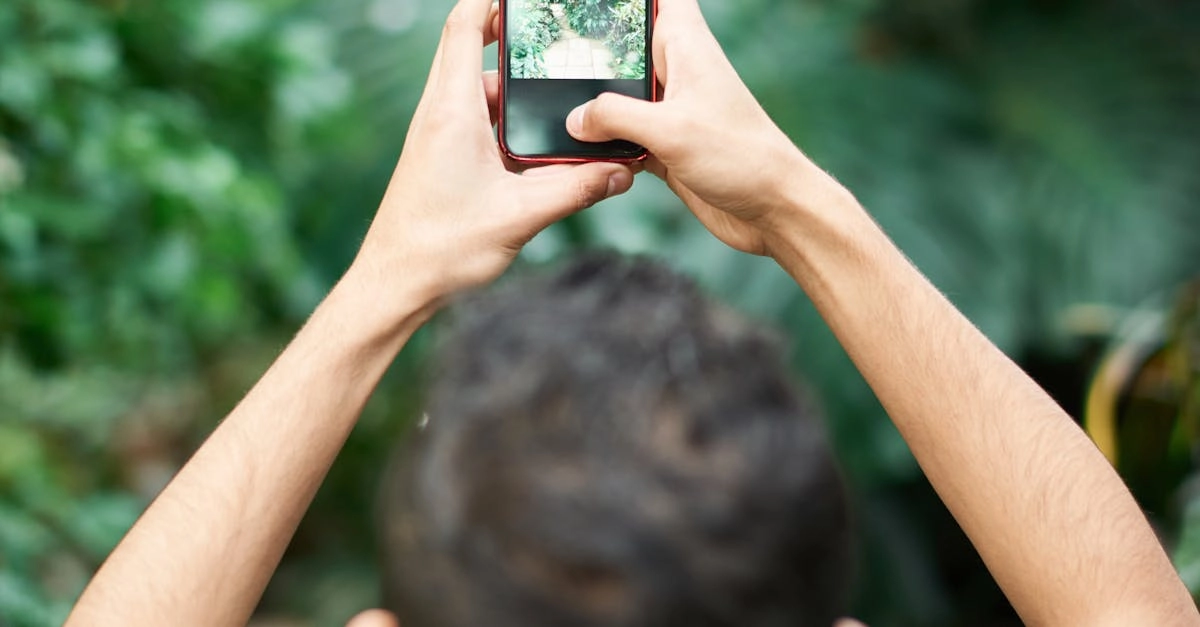 Экологический след цифровой индустрии развлечений