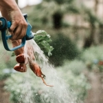 Цифровые технологии для экологического образования через виртуальные фермы