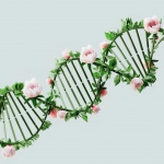 Экологический след цифровой индустрии развлечений и игр