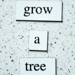 Экологическое воздействие цифровых технологий и серверов