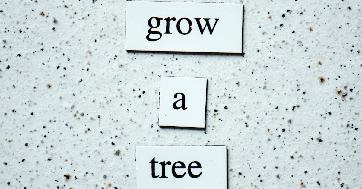 Экологическое воздействие цифровых технологий и серверов