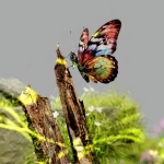 Экологический след цифровых развлечений и энергопотребление серверов