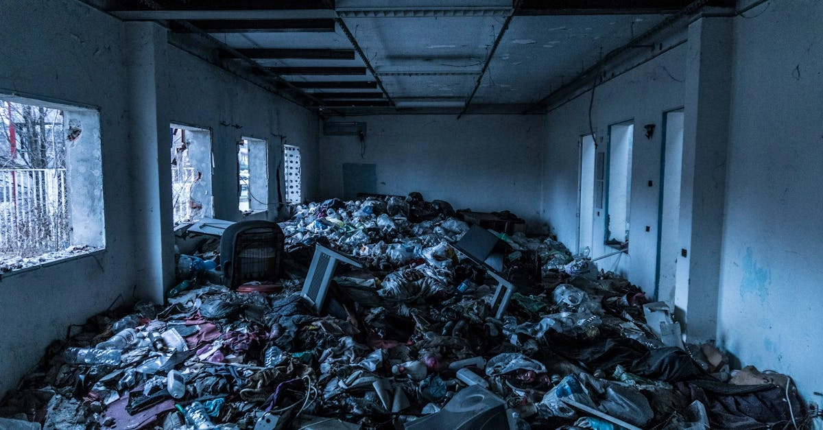 Экологическое воздействие игорной индустрии на окружающую среду