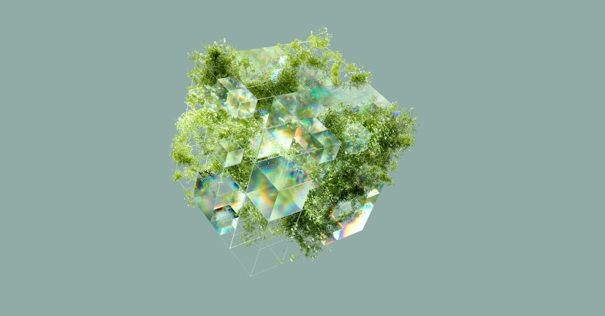 Цифровые технологии в экологическом образовании и природоохранном просвещении