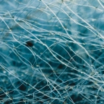 Экологический след цифровых развлечений и игровой индустрии