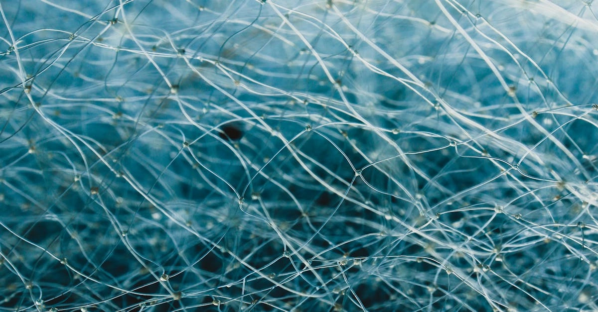 Экологический след цифровых развлечений и игровой индустрии